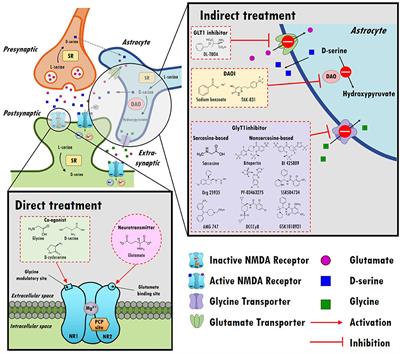 Directly and Indirectly Targeting the Glycine Modulatory Site to Modulate NMDA Receptor Function to Address Unmet Medical Needs of Patients With Schizophrenia